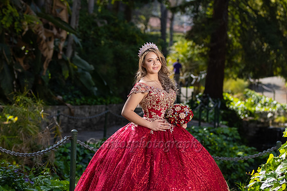 Kassandra-7573