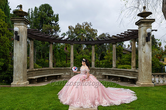 _5GF0622 (Back)
