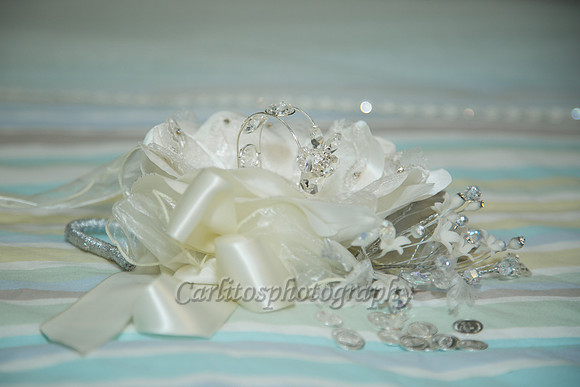 Manuel y Lizette-12