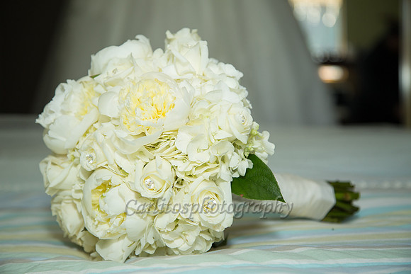 Manuel y Lizette-15