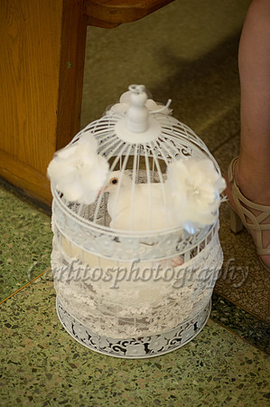 A+J Wedding 0270