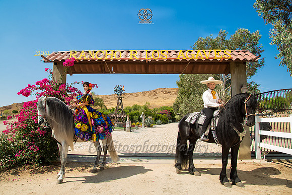 _MG_9716