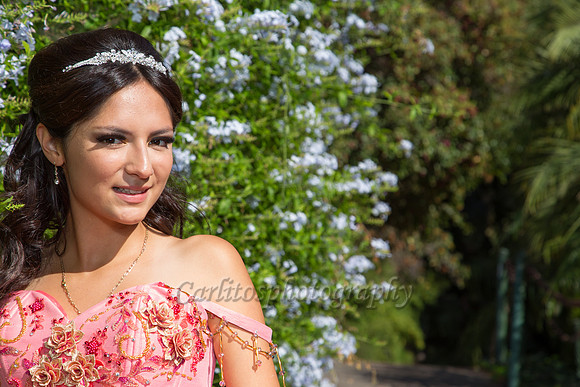 Stephanie Perez-278