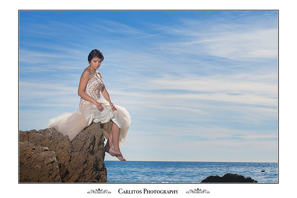Paloma
