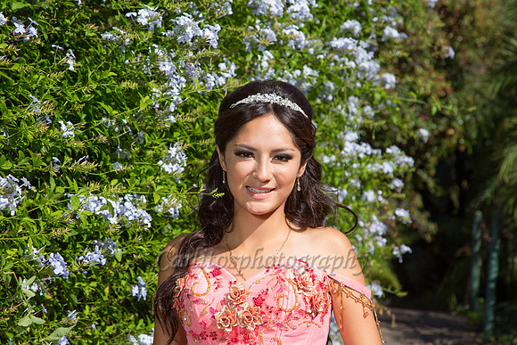 Stephanie Perez-275