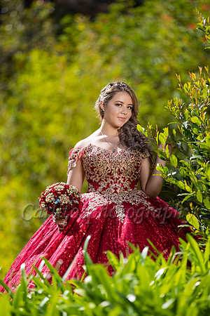 Kassandra-7536