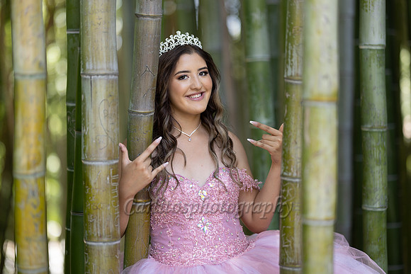 _C5R3729