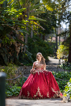 Kassandra-7562