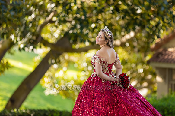 Kassandra-7689