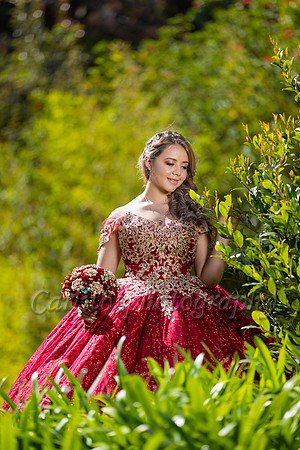 Kassandra-7535