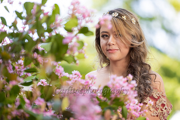 Kassandra-7485