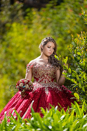 Kassandra-7533
