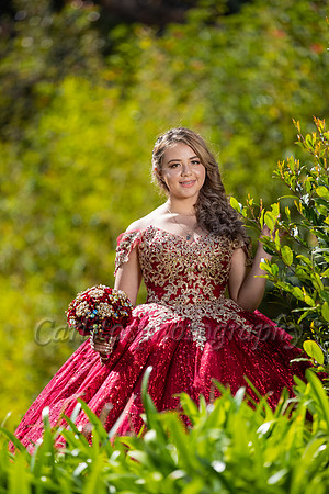 Kassandra-7538
