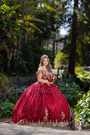 Kassandra-7566
