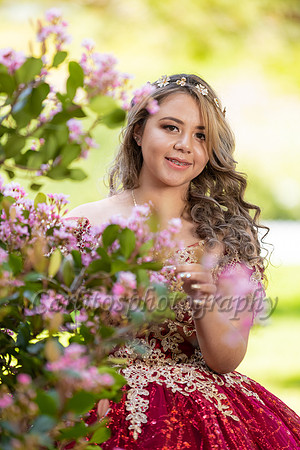 Kassandra-7490