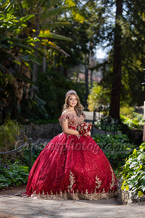 Kassandra-7568