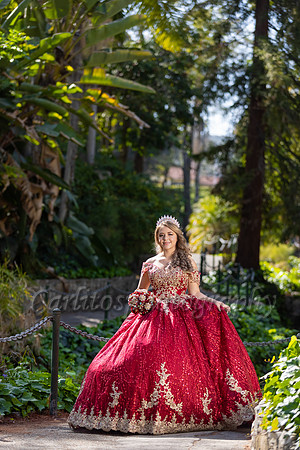 Kassandra-7563