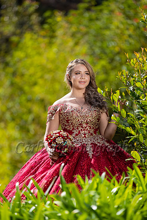 Kassandra-7540