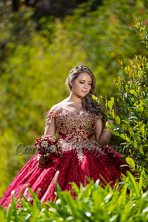 Kassandra-7532