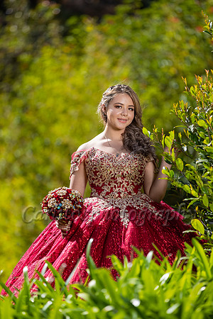 Kassandra-7537