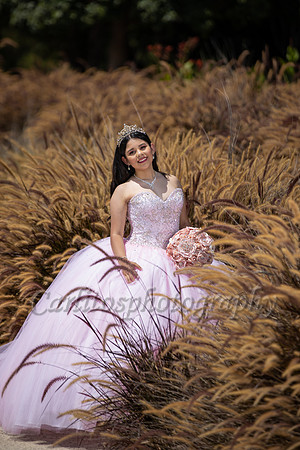_GC_2910